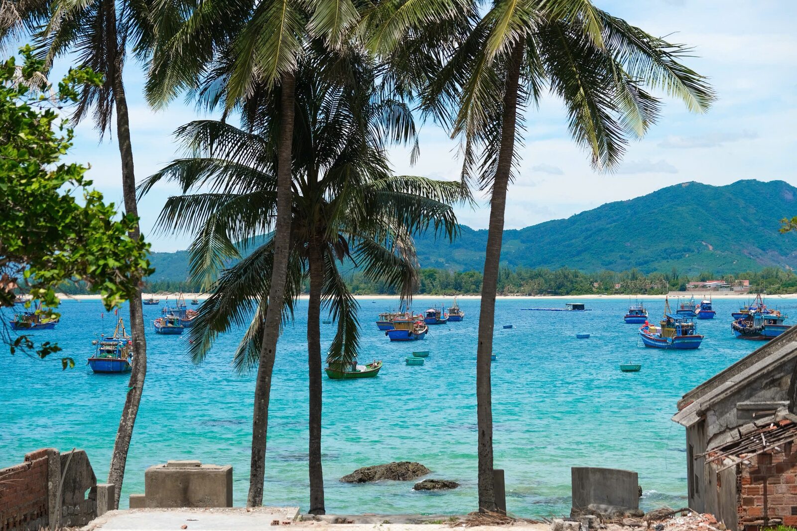 Thư viện ảnh 5