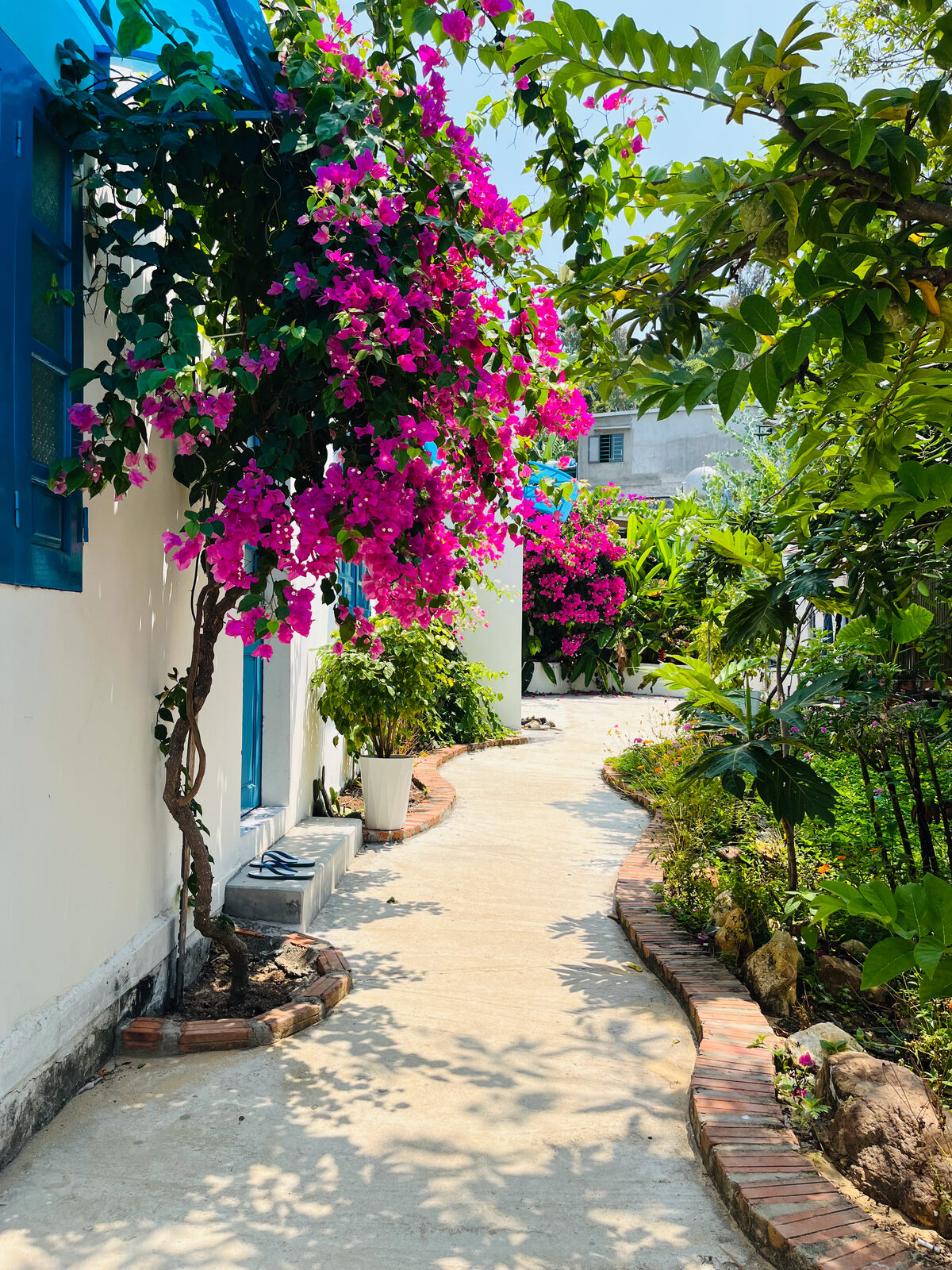 Thư viện ảnh 11
