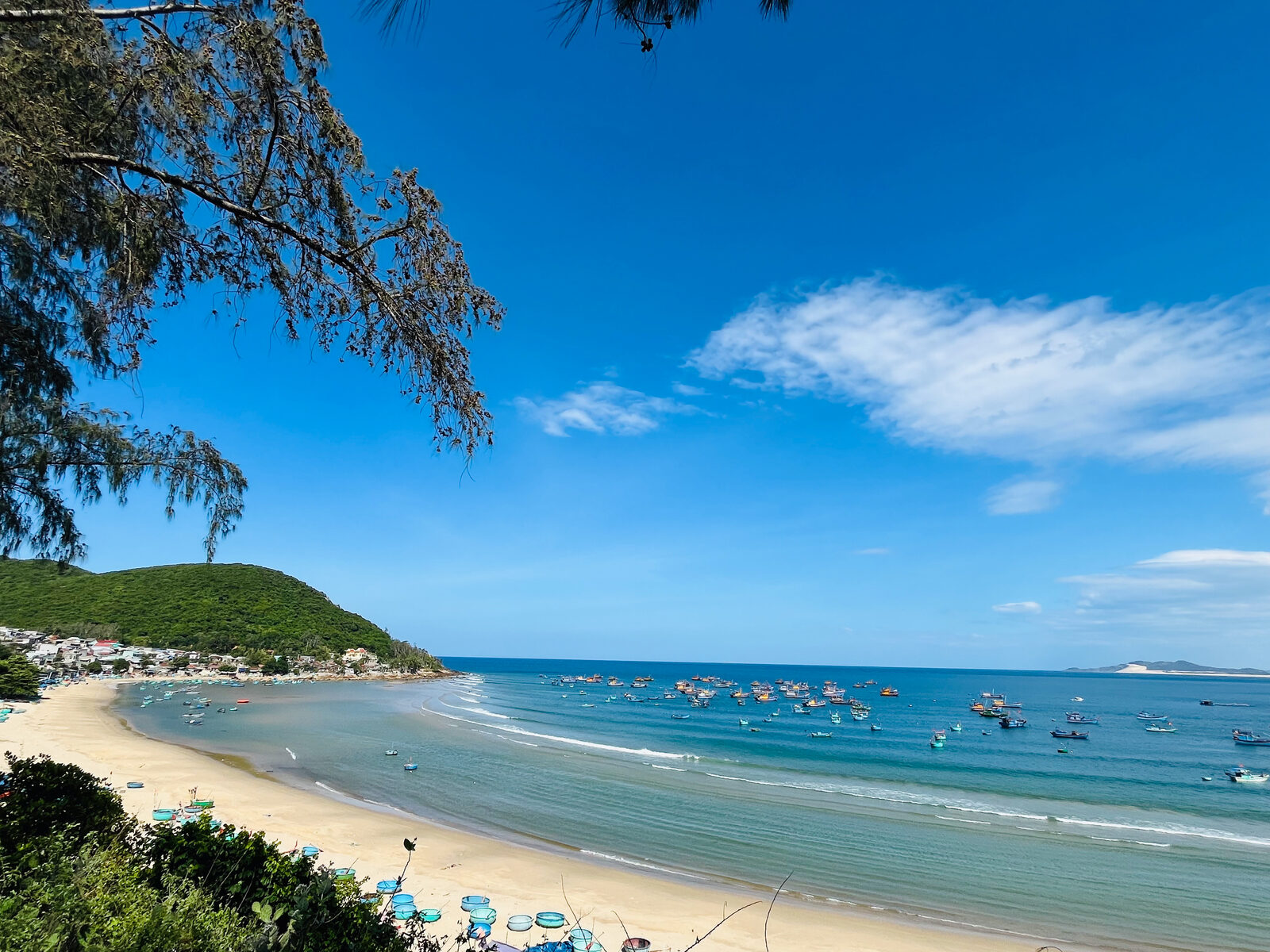 Thư viện ảnh 19