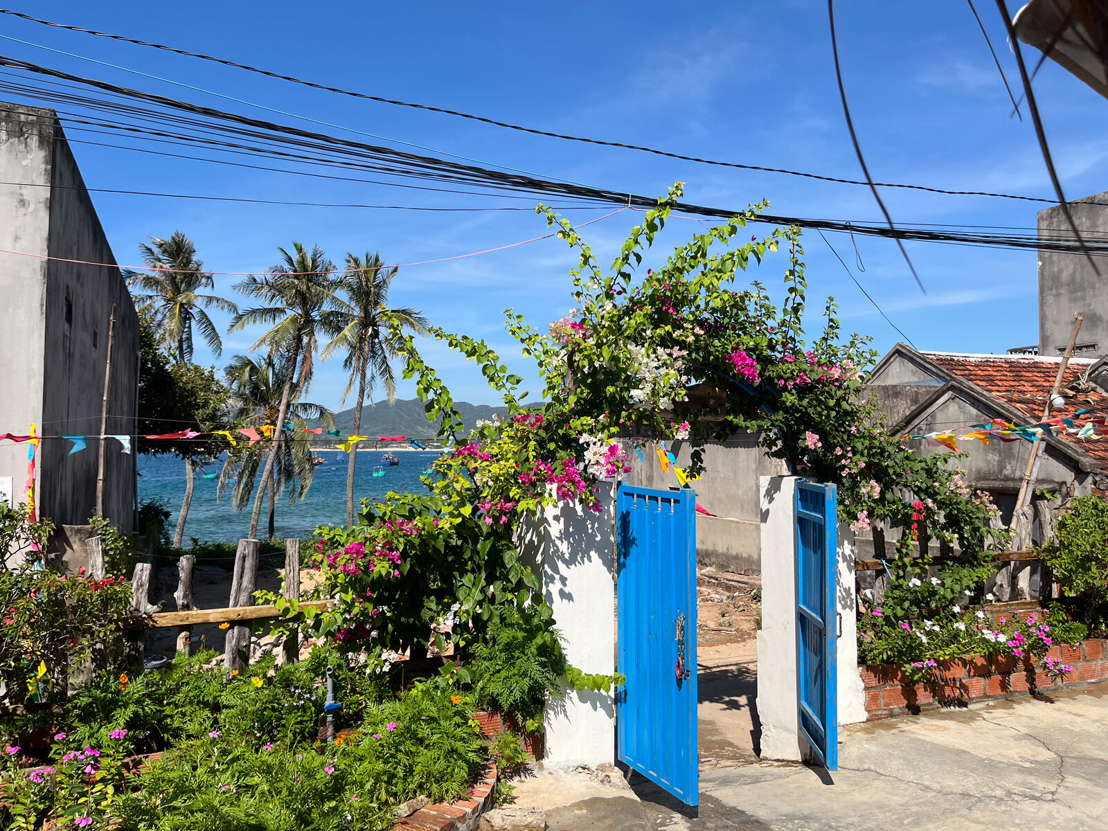 Thư viện ảnh 54